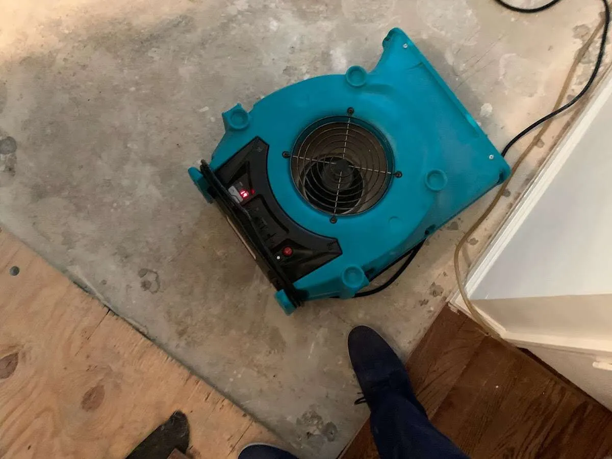 Air mover drying subfloor during Leak Detection & Repair in Bayonne